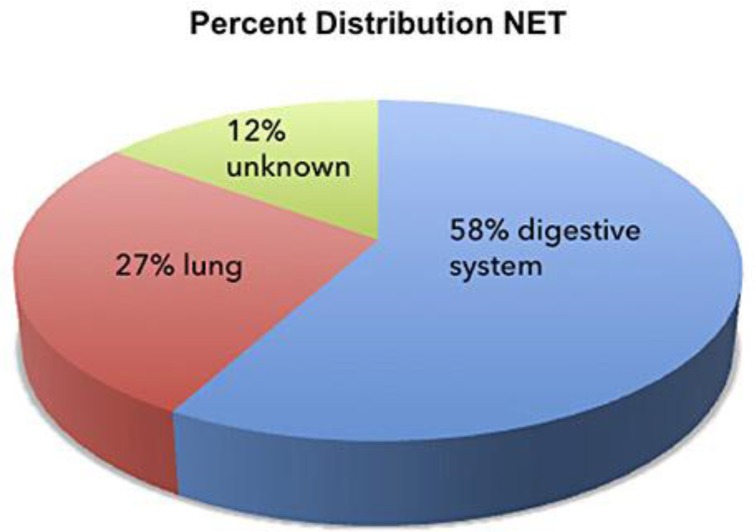 Immune Reactivity and Pseudoprogression or Tumor Flare in a Serially Biopsied Neuroendocrine Patient Treated with the Epigenetic Agent RRx-001.
