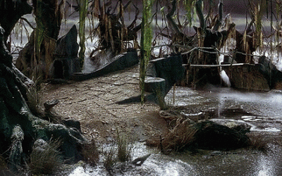 A Blog About a Bog